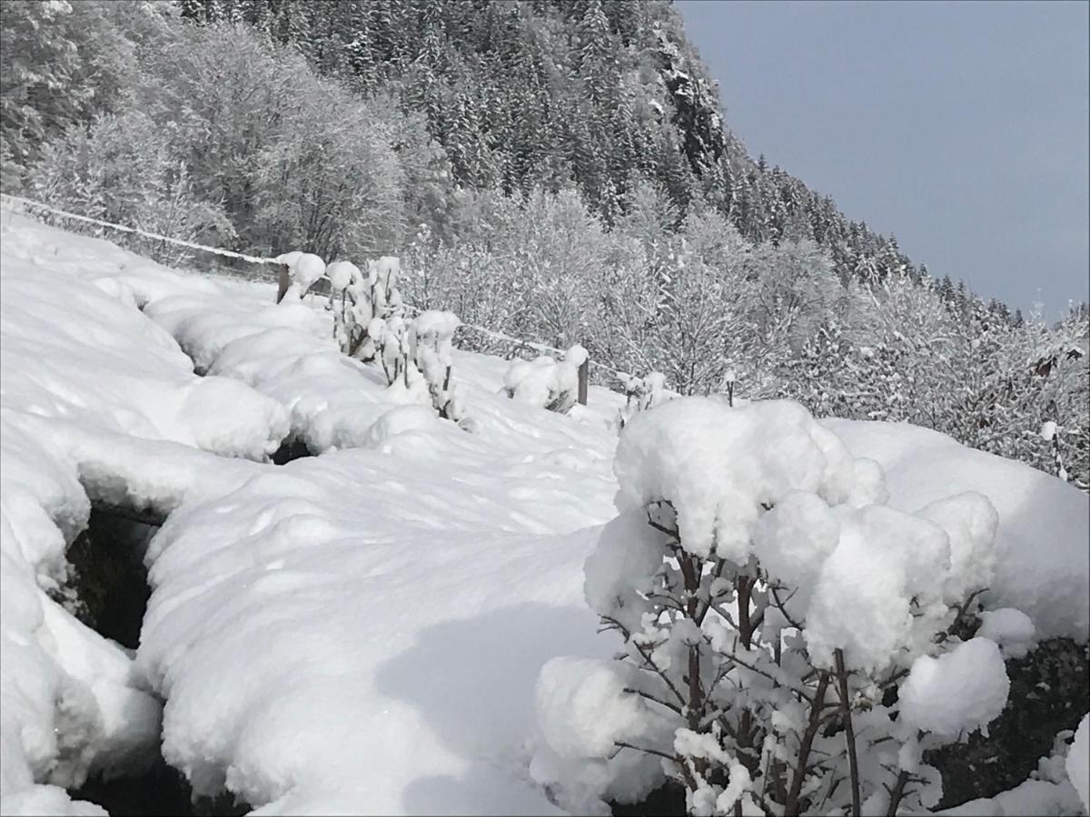 Le Blanc Nordique Βίλα Le Bouchet-Mont Charvin Εξωτερικό φωτογραφία